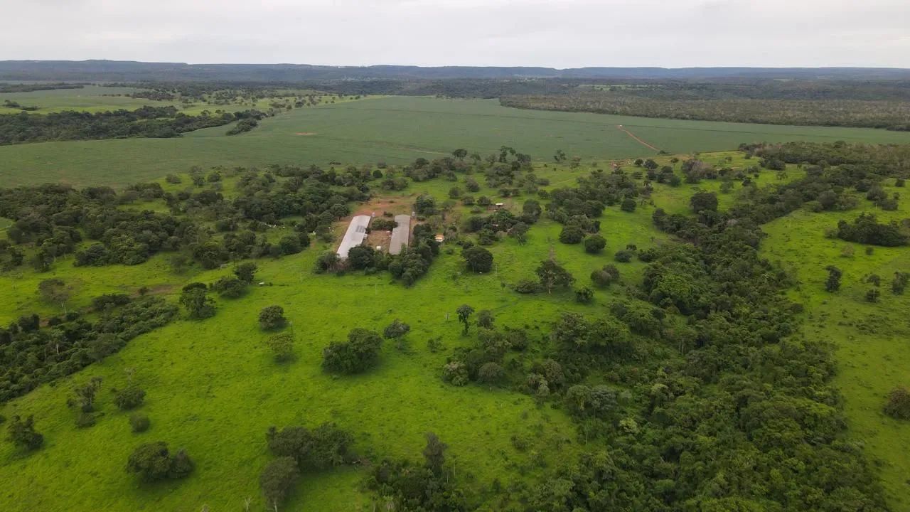 Fazenda à venda em Paraíso do Tocantins com 25 alqueires, dupla aptidão e estrutura completa para produção