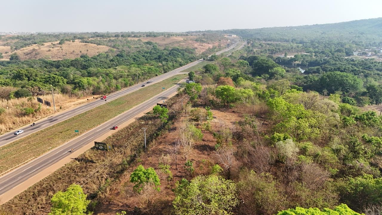 ÁREA À VENDA | 6 ALQUEIRES | TO-050 – PALMAS/TO