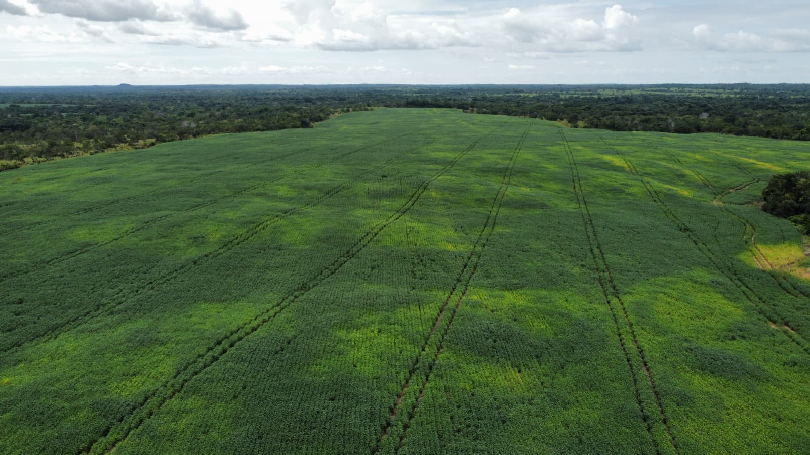 Fazenda com Aptidão Agrícola à Venda no Vale do Araguaia – TO | 234 Alqueires