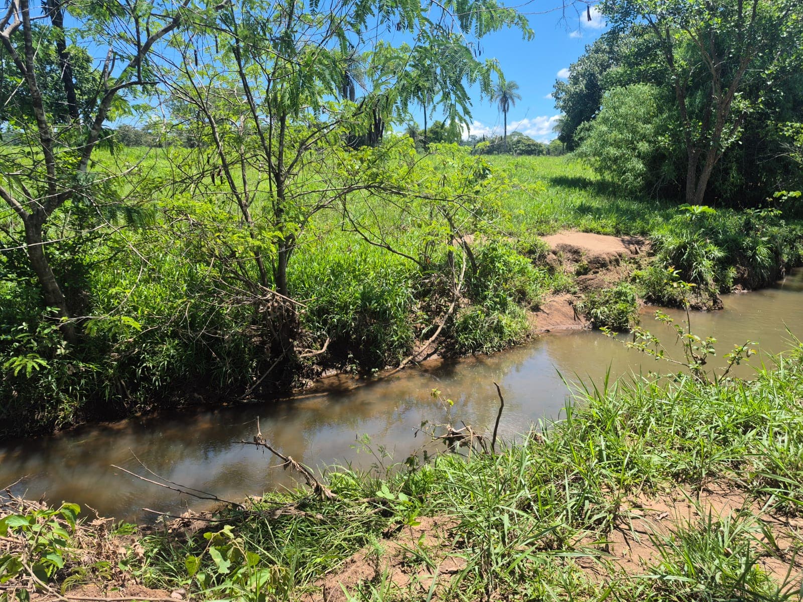 Fazenda para Pecuária à Venda em Barrolândia – TO | 22 Alqueires à Beira do Asfalto
