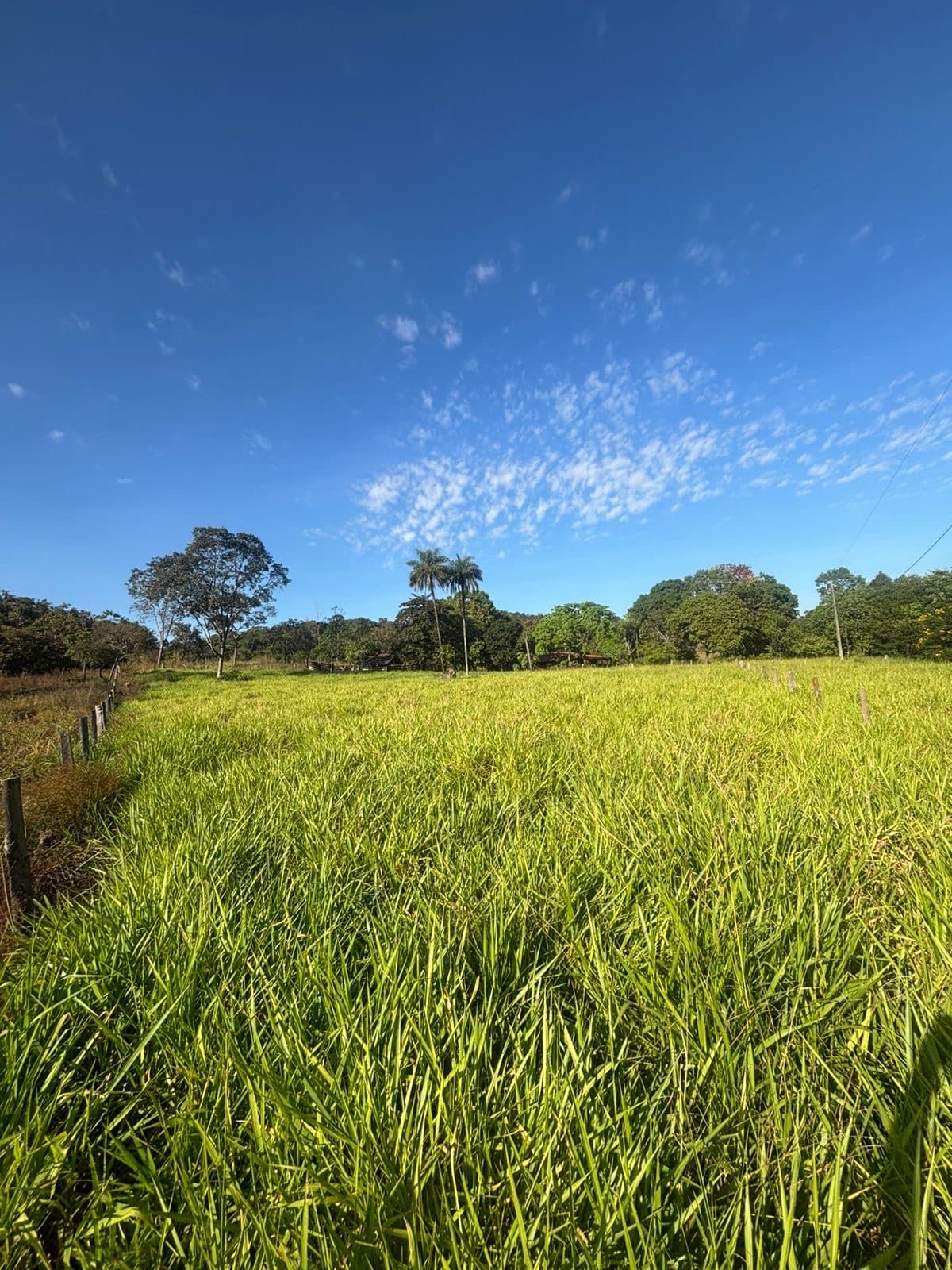 Chácara de 4,51 hectares à venda no Córrego Barreiro – Aparecida do Rio Negro/TO