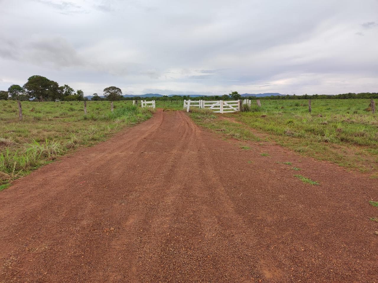 Fazenda com 390 Alqueires à Venda em Silvanópolis – TO | Alta Aptidão Agropecuária
