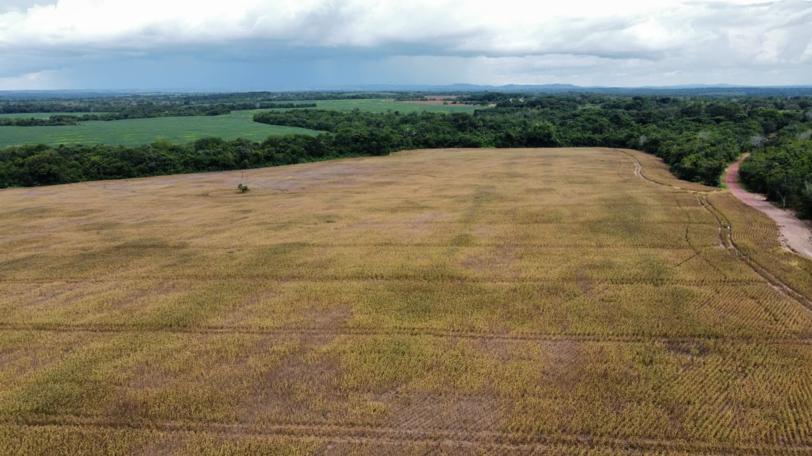 Fazenda com Aptidão Agrícola à Venda no Vale do Araguaia – TO | 234 Alqueires