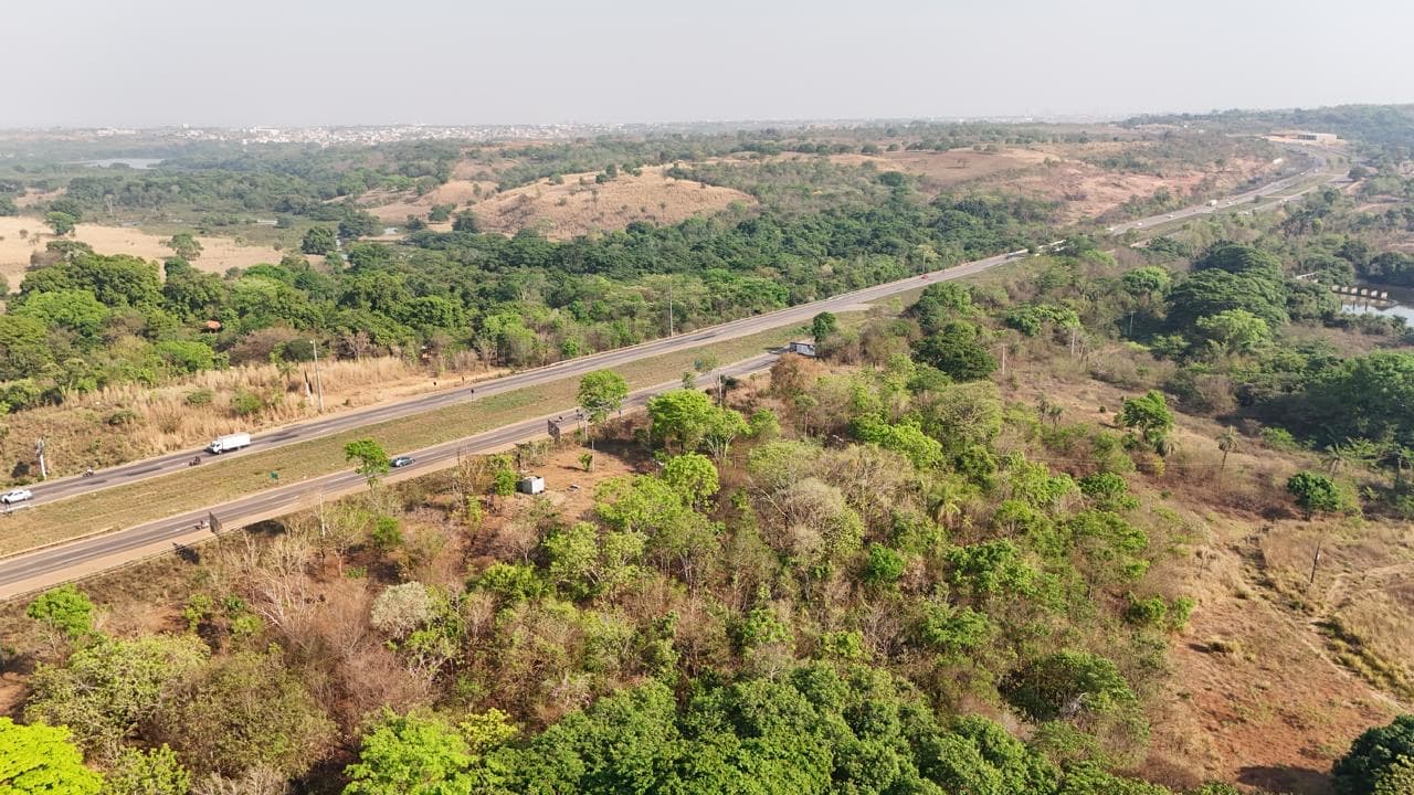 ÁREA À VENDA | 6 ALQUEIRES | TO-050 – PALMAS/TO