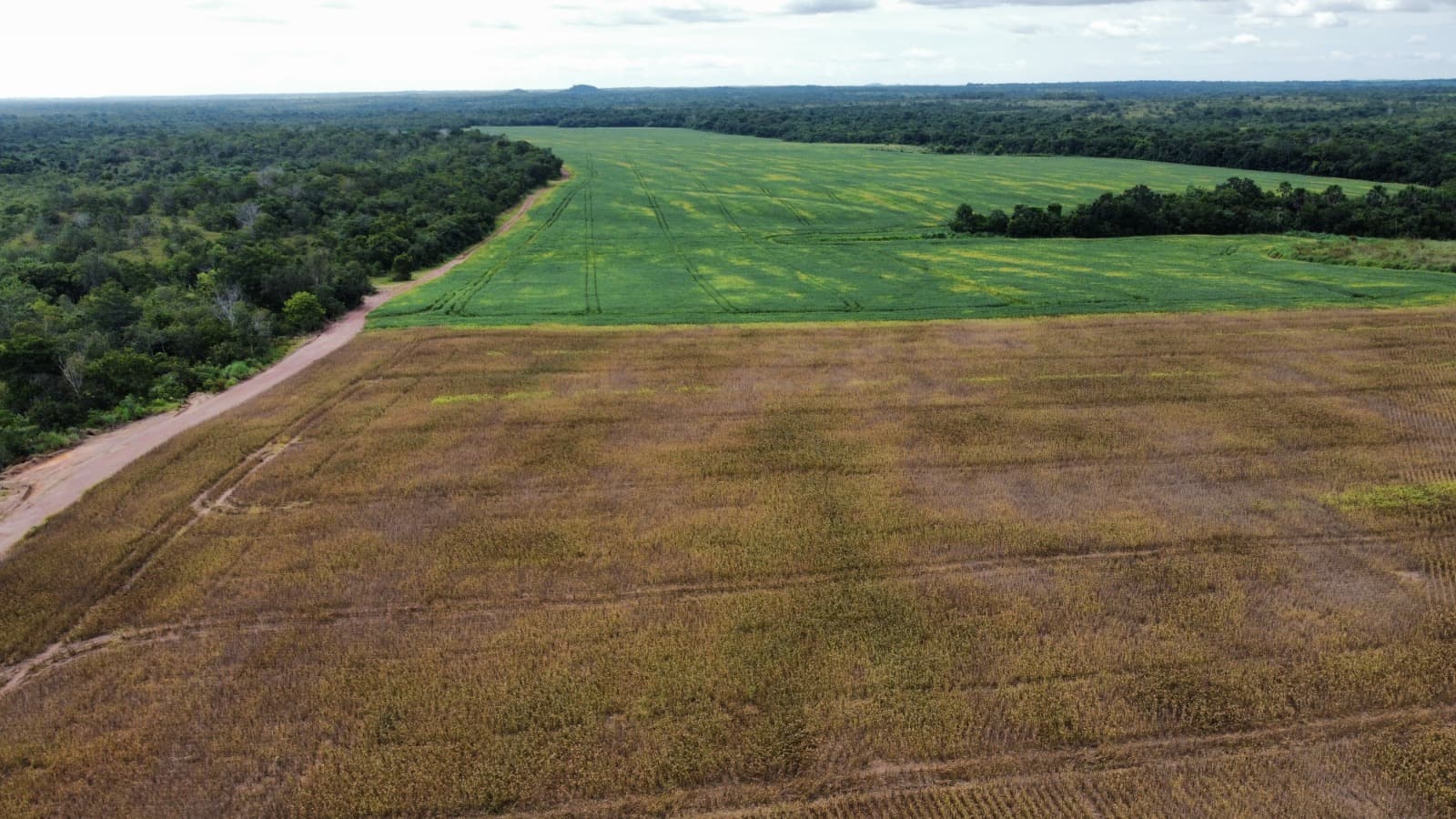 Fazenda com Aptidão Agrícola à Venda no Vale do Araguaia – TO | 234 Alqueires