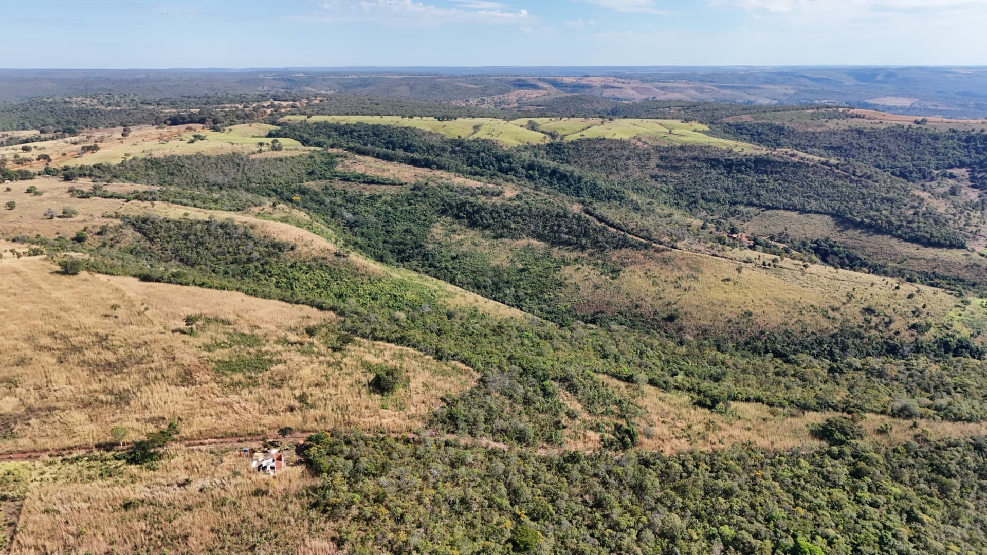Fazenda à Venda em Taquaruçu – 22 Alqueires com 17 Alqueires de Pastagem